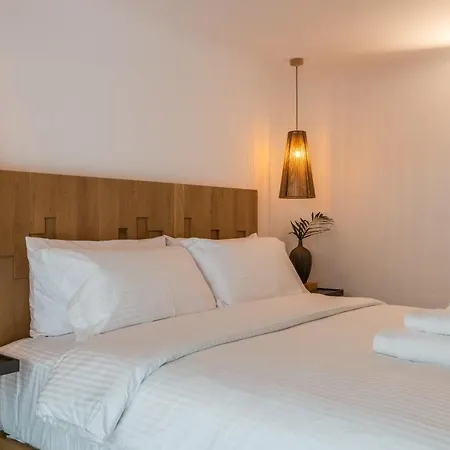 度假居 Obsession Mykonos