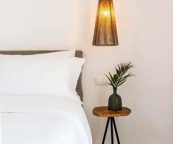 度假居 Obsession Mykonos 圣斯特凡诺斯